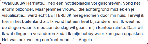 De Thuisreis review 2