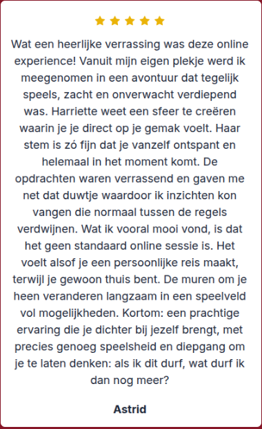 De Thuisreis review 4