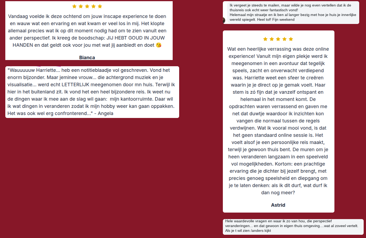 De Thuisreis screenshot 1