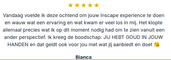 De Thuisreis review 1